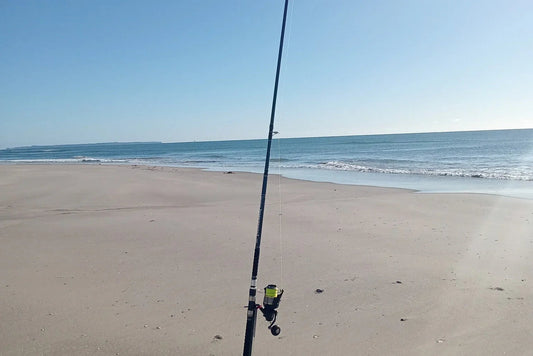 Mojo surfcasting rod planted in sandy beach with calm ocean and clear blue sky in background