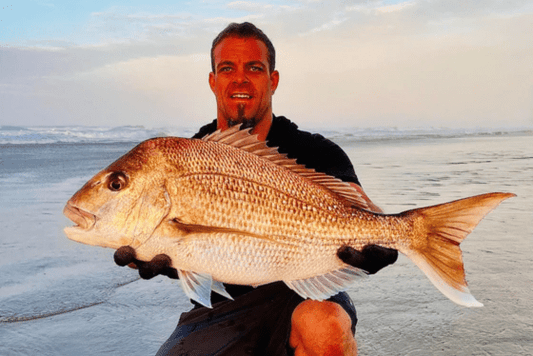 Angler holding large snapper fish on beach during golden hour, showcasing successful surfcasting catch