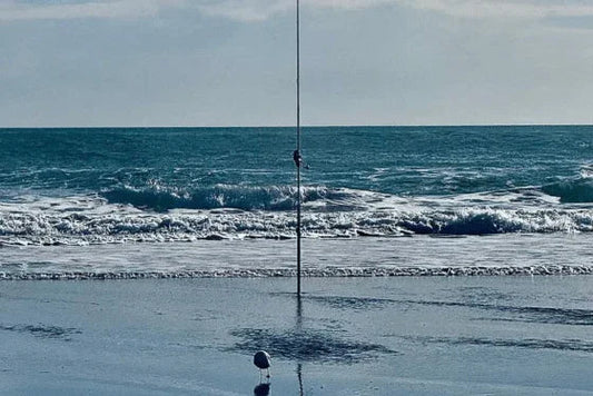 Mojo surfcasting rod standing upright in shallow surf on a beach with waves and a seabird in foreground
