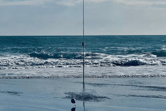 Silver Bullet Has Every Feature You Expect from a Mid-to-High Quality Rod